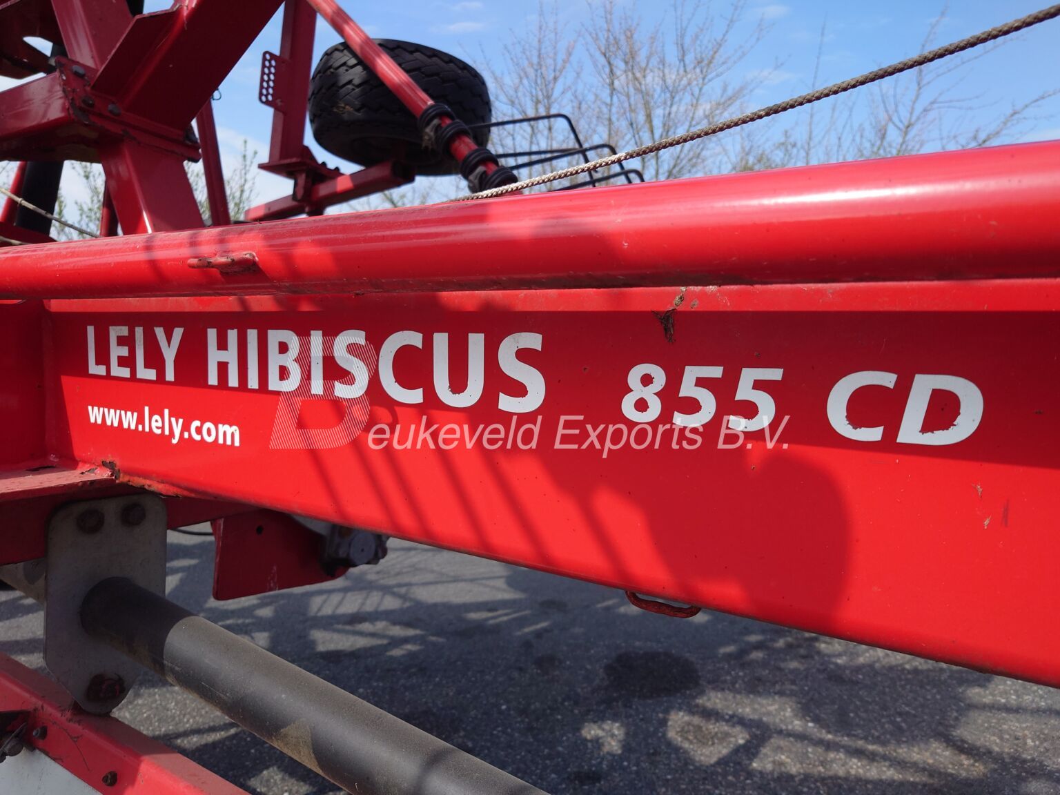 Lely Hibiscus 855 CD