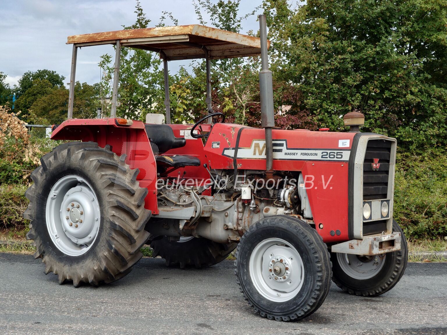 MASSEY FERGUSON 265 (6)